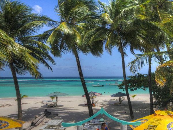 Barbados Condo 978424