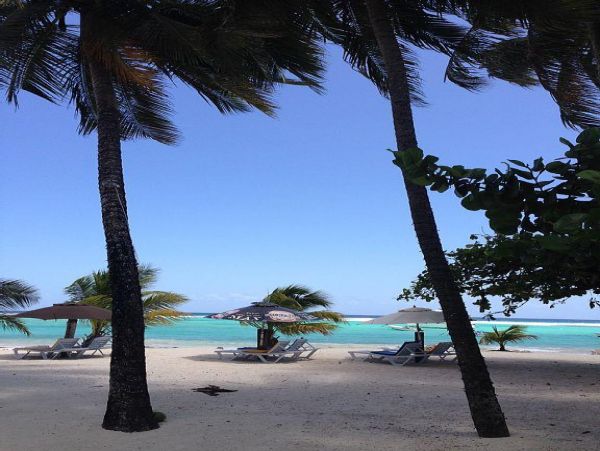 Barbados Condo 978424