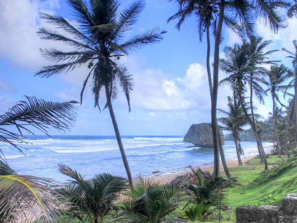 Barbados Condo 978424