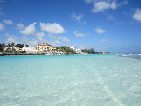 Barbados Condo 978425