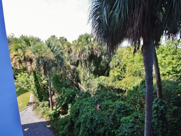 New Smyrna Beach Condo 978439