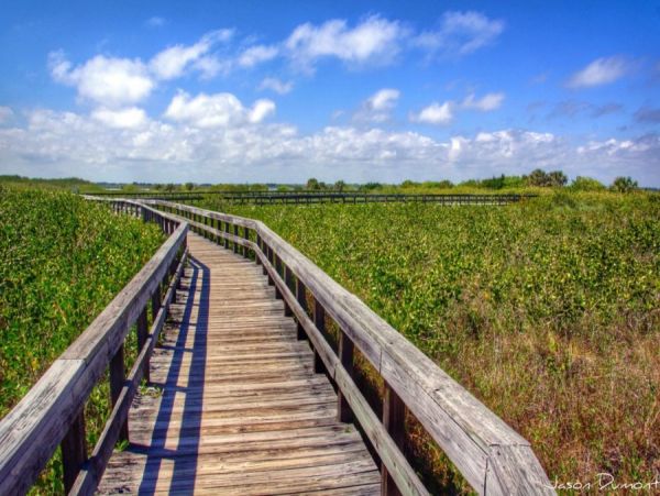 New Smyrna Beach Condo 978450