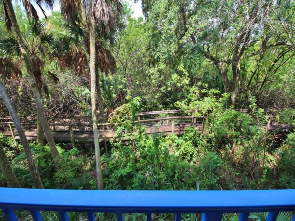 New Smyrna Beach Condo 978472