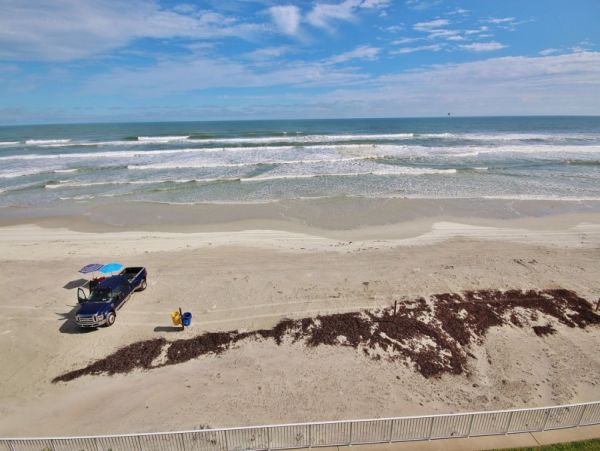 New Smyrna Beach Condo 978505