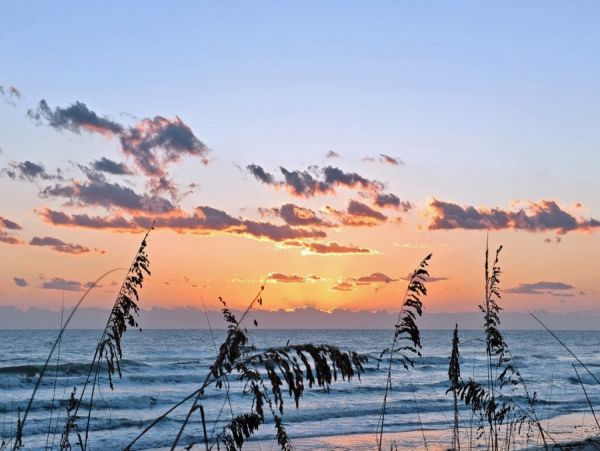 New Smyrna Beach Condo 978577