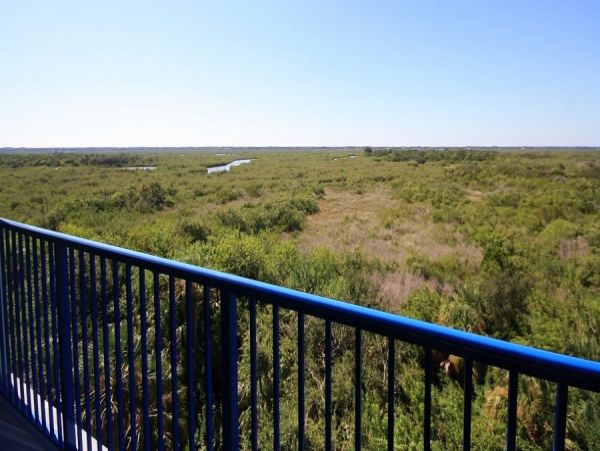 New Smyrna Beach Condo 978591