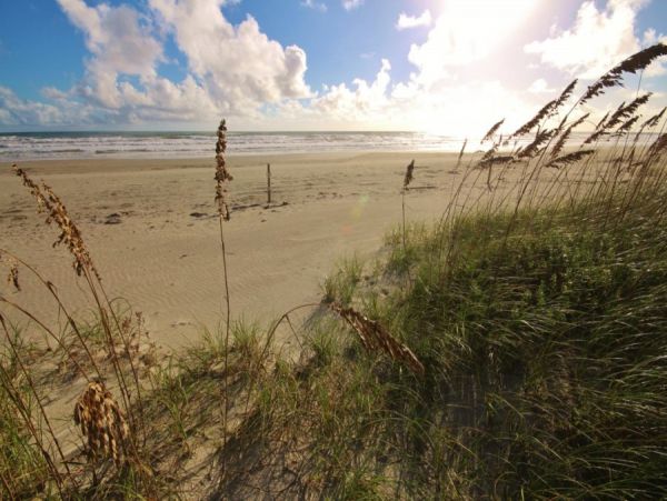 New Smyrna Beach Condo 978625