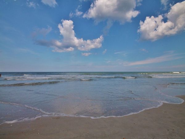 New Smyrna Beach Condo 978650