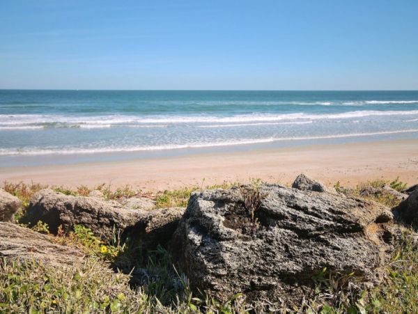 New Smyrna Beach Condo 978671