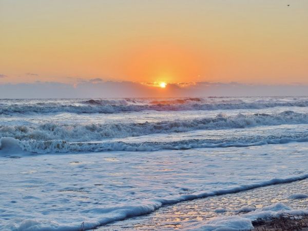 New Smyrna Beach Condo 978686