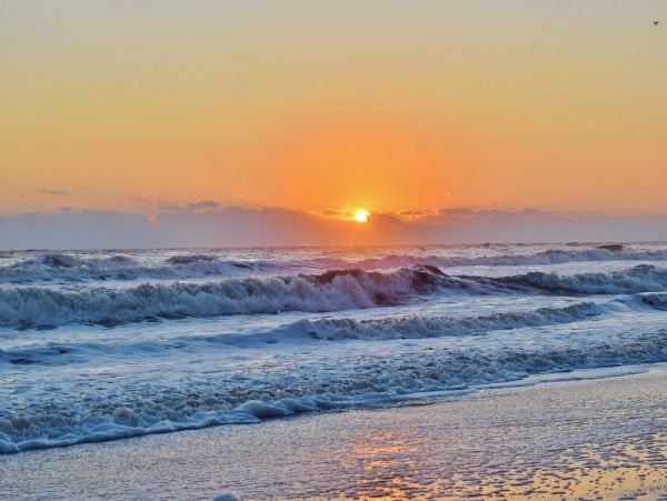 New Smyrna Beach Condo 978686