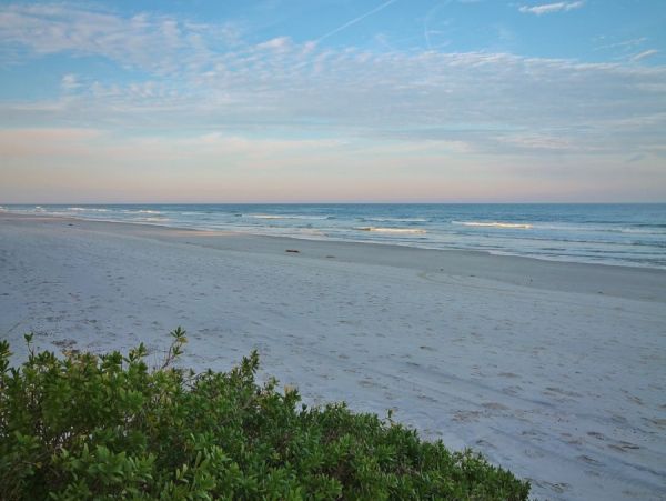 New Smyrna Beach Home 978708