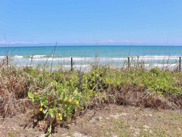 New Smyrna Beach Condo 978729