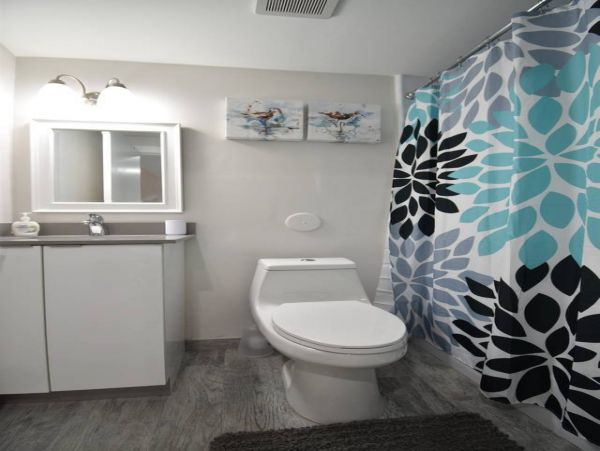 Hollywood Home 978764