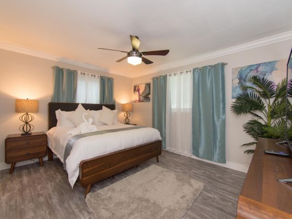Hollywood Home 978809