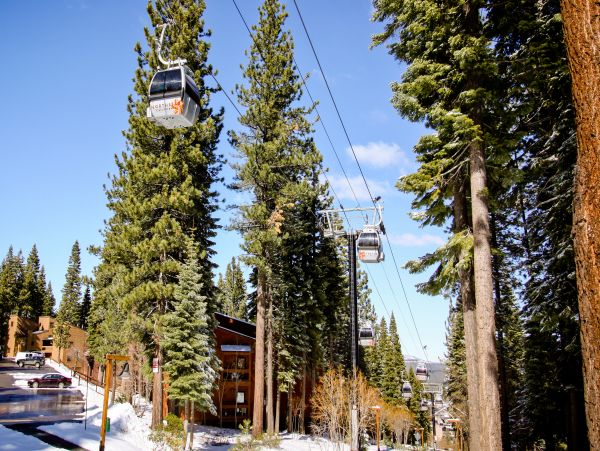 Lake Tahoe North Shore Home 978880