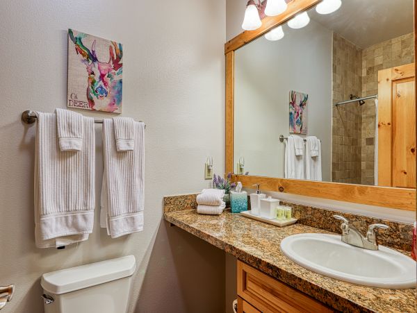 Lake Tahoe North Shore Home 978897