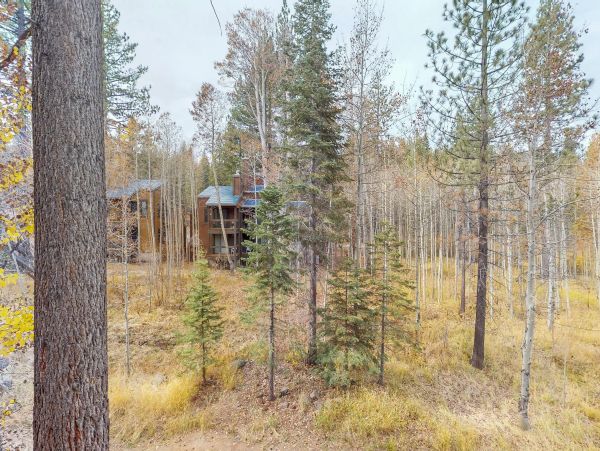 Lake Tahoe North Shore Home 978918
