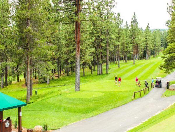 Lake Tahoe North Shore Home 978920