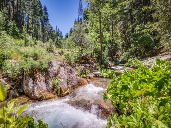 Lake Tahoe North Shore Home 978931