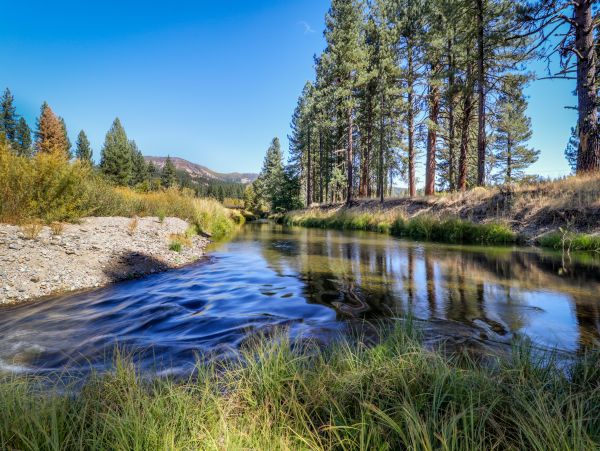 Lake Tahoe North Shore Home 978933