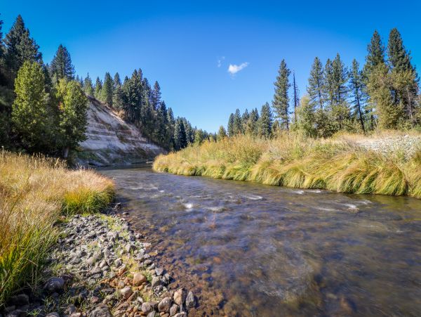Lake Tahoe North Shore Home 978933