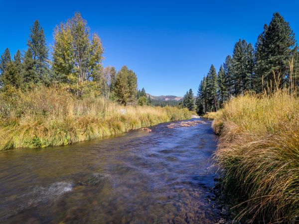 Lake Tahoe North Shore Home 978933