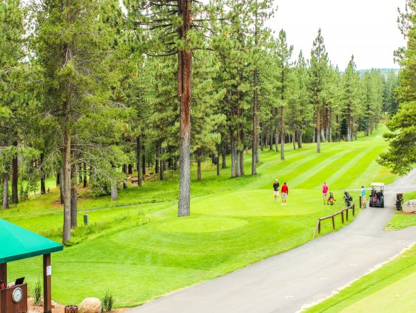 Lake Tahoe North Shore Home 978941