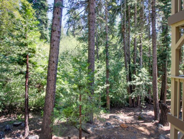 Lake Tahoe North Shore Home 978952