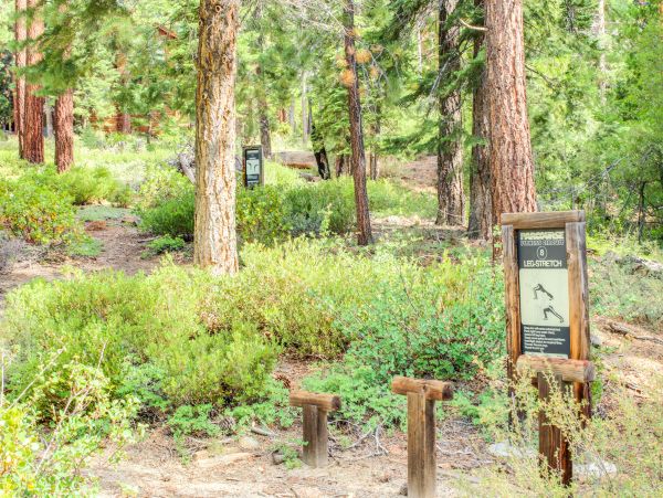 Lake Tahoe North Shore Home 978958