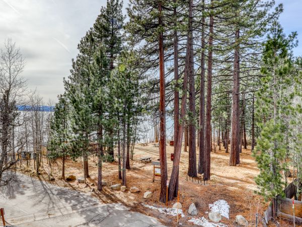 Lake Tahoe North Shore Home 978969