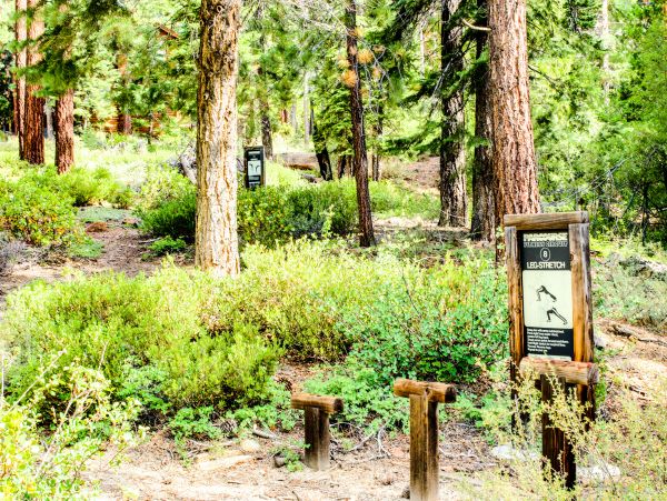 Lake Tahoe North Shore Home 978972