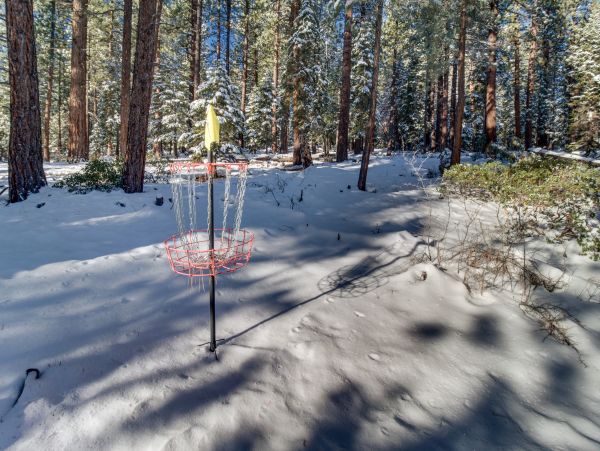 Lake Tahoe North Shore Home 978977