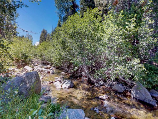 Lake Tahoe North Shore Home 979009
