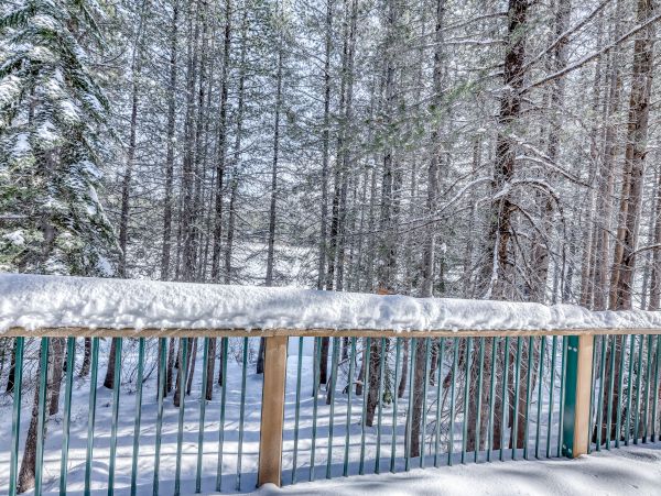 Lake Tahoe North Shore Home 979022