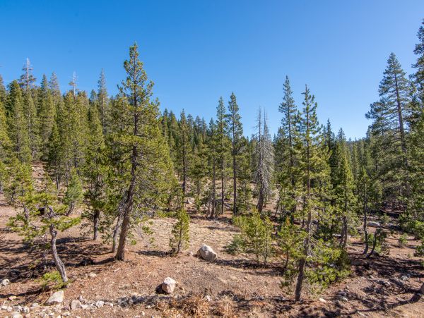 Lake Tahoe North Shore Home 979039