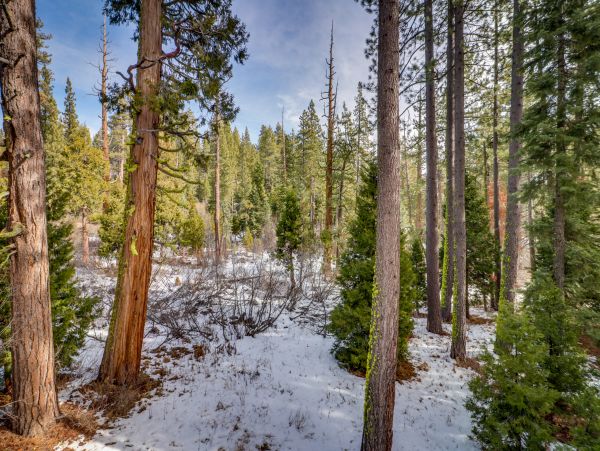 Lake Tahoe North Shore Home 979051
