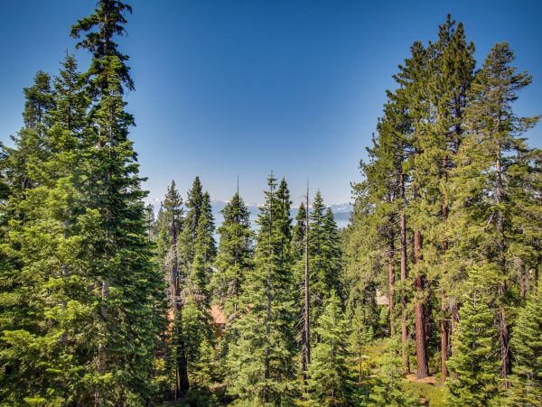Lake Tahoe North Shore Home 979076