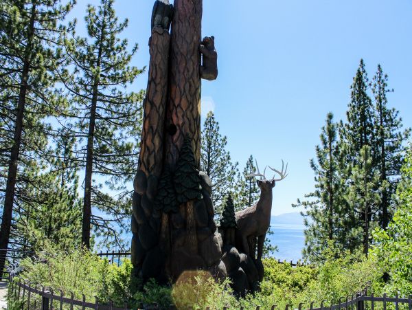 Lake Tahoe North Shore Home 979080