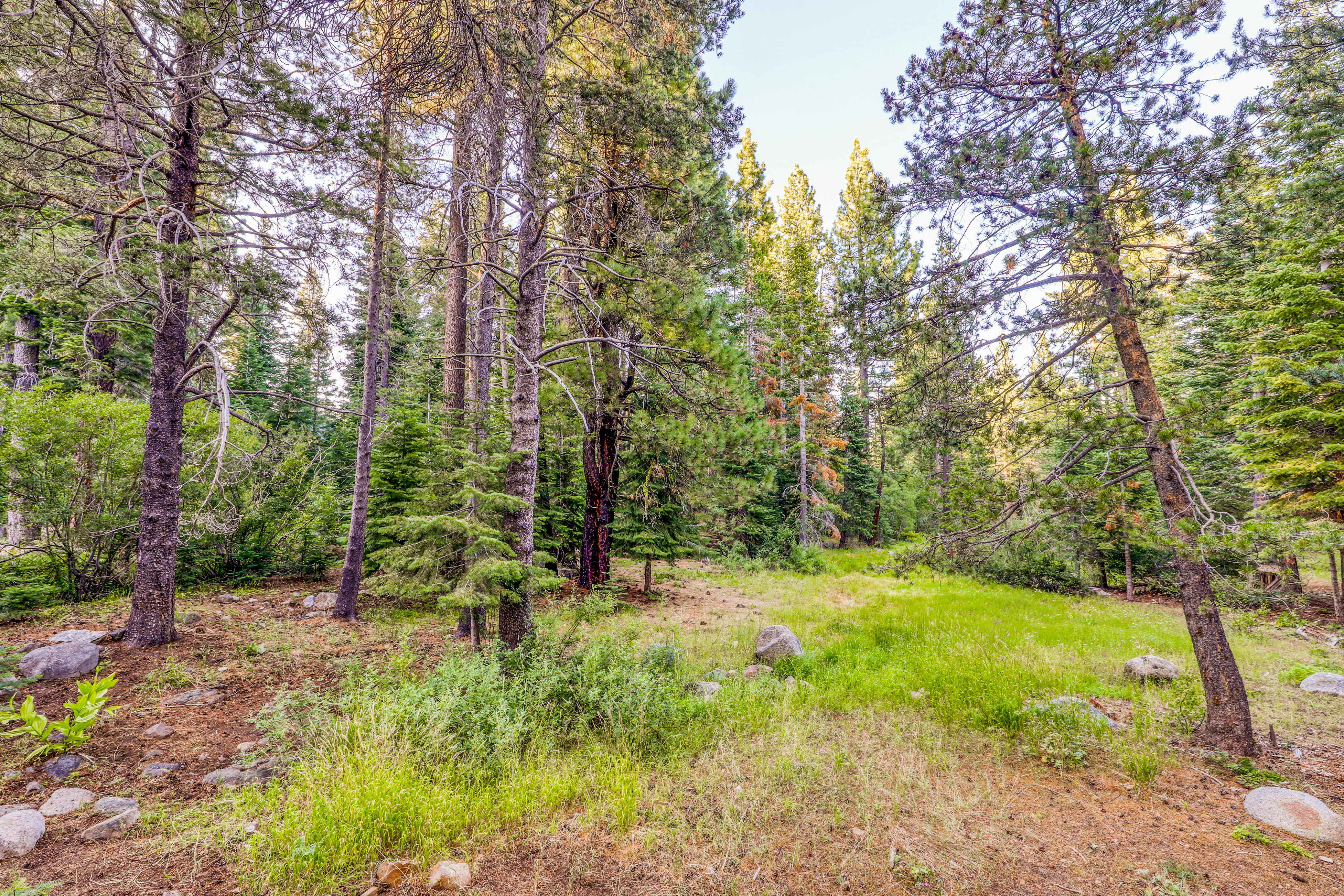 Lake Tahoe North Shore Home 979096