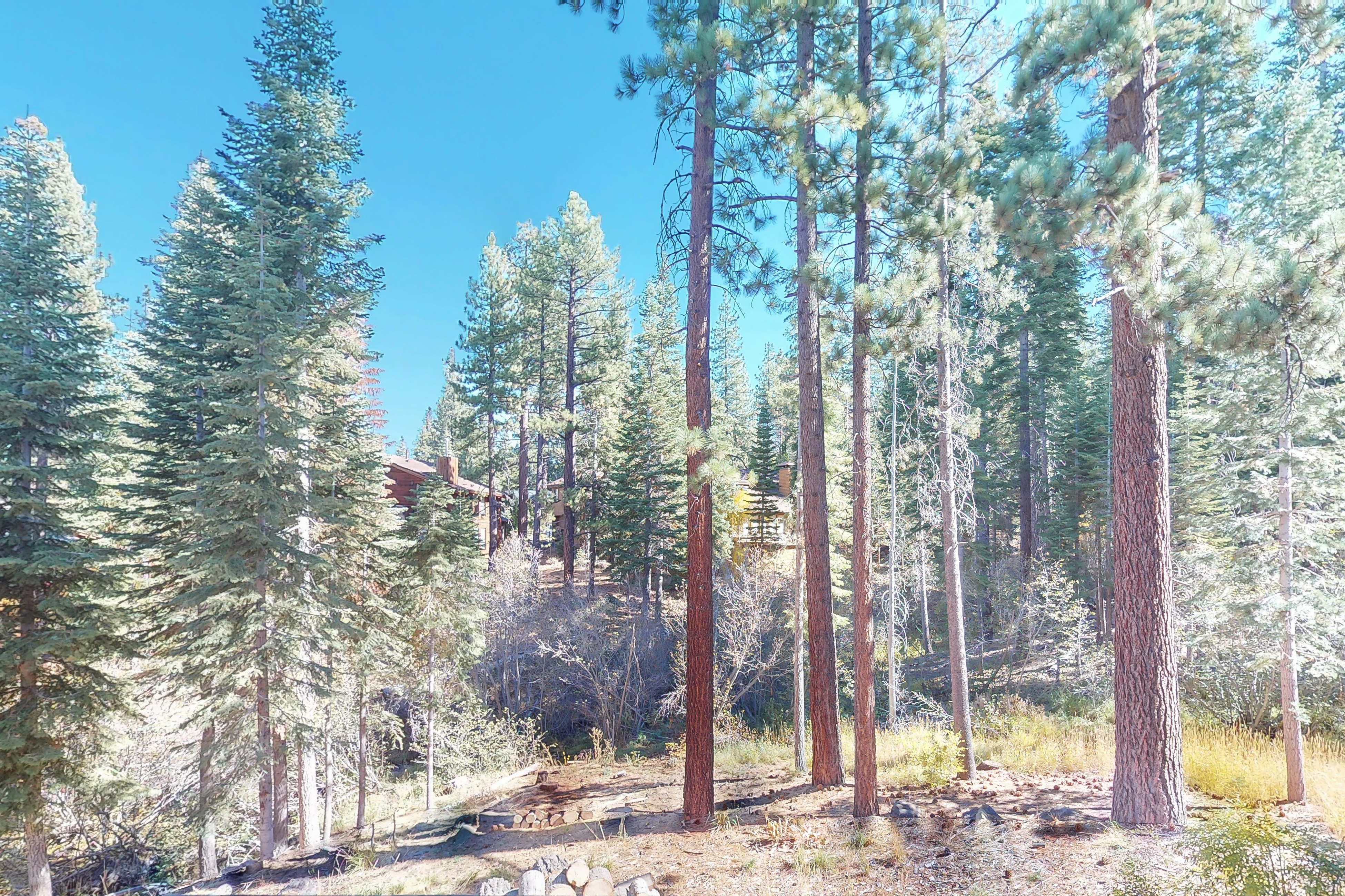 Lake Tahoe North Shore Home 979104