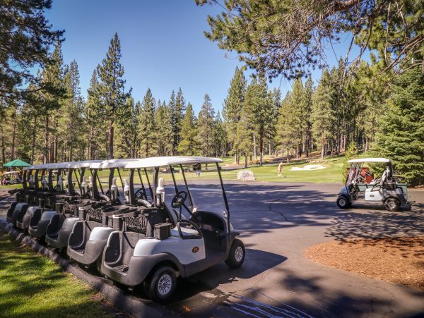 Lake Tahoe North Shore Home 979108