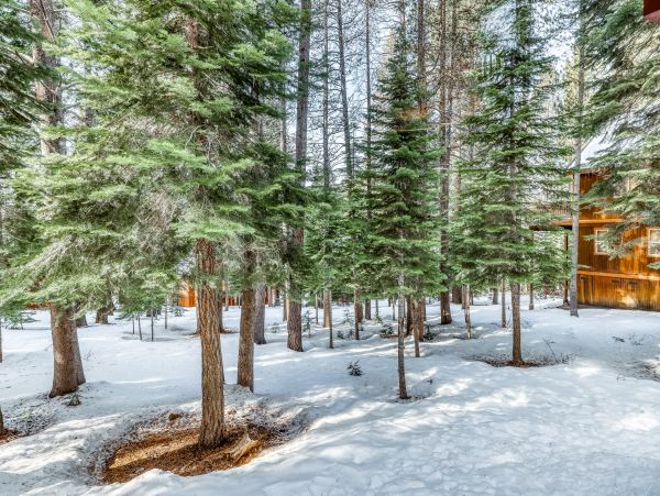 Lake Tahoe North Shore Home 979117