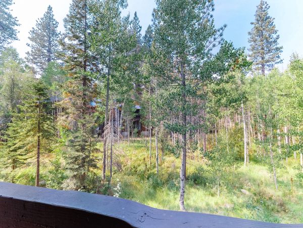 Lake Tahoe North Shore Home 979124
