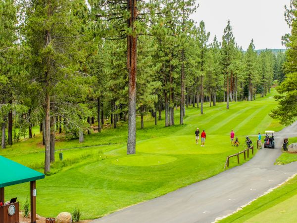 Lake Tahoe North Shore Home 979168