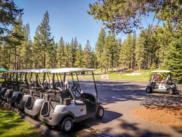 Lake Tahoe North Shore Home 979169