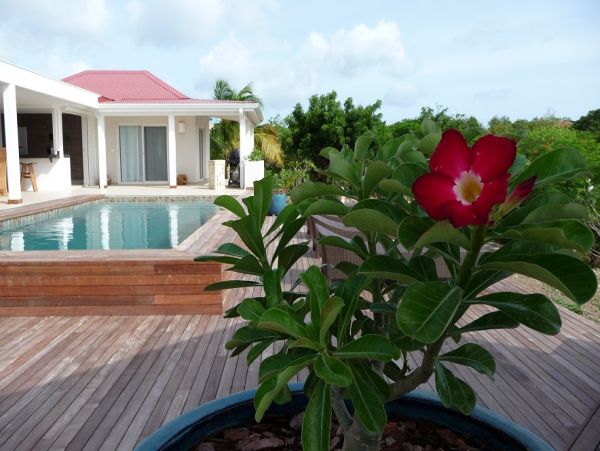Saint Maarten Saint Martin Home 979183