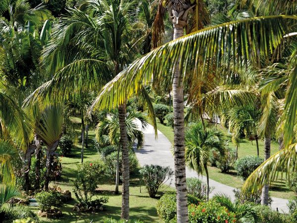 Saint Maarten Saint Martin Home 979185