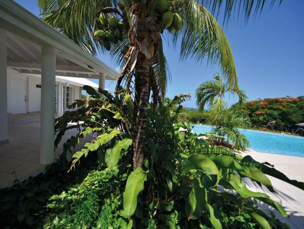 Saint Maarten Saint Martin Home 979194