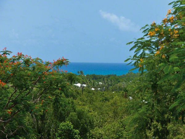 Saint Maarten Saint Martin Home 979218